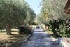 Villa Argo 2 - Beachfront, Big Gardens, Location!