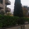 Apartamento Civico 51