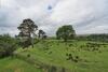 Apartamento Northumberland-hideaways