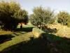Apartamento Alghero - Grotte Di Nettuno Cortes