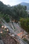 Apartamento Villa Olivari - Apt La Salvia