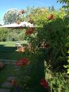 Agroturismo Agriturismo Campolungo