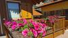 Agroturismo Agritur Clementi