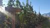 Agroturismo Agritur Clementi