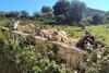 Country House Holiday 2 - Olbia