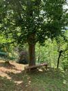 Chalet Alma