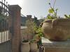 "la Pavoncella" Chia - Domus De Maria