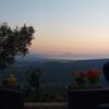 Hostal Il Colle Degli Ulivi