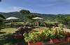 Villa Rinaldo