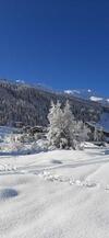 Apartamento Casa Vacanze Michela