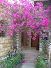 Hotel Dream Lodge Siwa