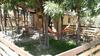 Agroturismo Barbagianni