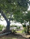Hostal The Beachhouse