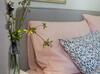 Sommavilla Apartments - Central Living