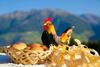 Agroturismo Bauernhof Mairing