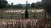 Maremma Country Chic