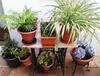 Bed & Breakfast Hostal La Ribera Del J�car