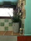 Bed & Breakfast B & B Lo Gnomo