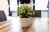 Apartamento Checkvienna ? Enenkelstrasse