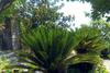 Villa Branco