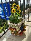 Bed & Breakfast Chiaro Di Luna