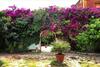 Apartamento Tenuta Donna Vittoria - Appartamento Geranio
