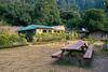 Livingstone Camping Site, Bhimtal
