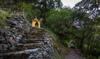 Livingstone Camping Site, Bhimtal