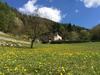 Bed & Breakfast Maso Zont