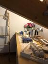 Bed & Breakfast Maso Zont