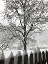 Bed & Breakfast Maso Zont