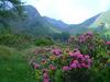 Apartamento Appartementhaus Goritschnig