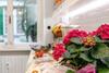 B&B Accademia