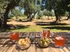 Apartamento Villa Tuppina