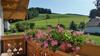 Apartamento Ferienwohnung Kastenm�hle Im Mondseeland