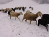 Holiday Home Hart Im Zillertal