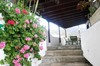 Apartamentos Y Bungalows Finca Col�n