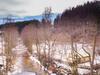 Apartamento Haus Am Fluss