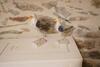 Bed & Breakfast La Seigneurie De Naves