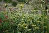 Bed & Breakfast La Seigneurie De Naves