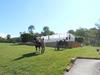 Bed & Breakfast La Ferme De Montard
