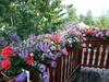 Bed & Breakfast Hof Van Lutten