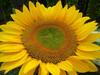 Bed & Breakfast Hof Van Lutten