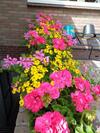 Bed & Breakfast Hof Van Lutten