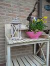Bed & Breakfast Hof Van Lutten