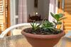 Apartamento Historic Center Hvar Town- A Few Steps From The Main Square