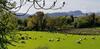 Mountain View Bed & Breakfast, Kenmare, Co. Kerry, Ireland