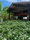 Villas Do Pratagy Cocobambu