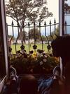 Agroturismo Malin Townhouse