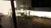 Incrivel Casa Com Churrasq E Piscina Em Peruibe